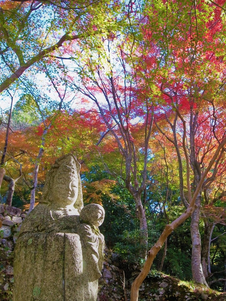 紅葉・東光寺