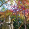 紅葉・東光寺