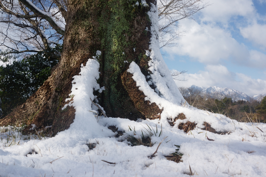 雪晴れ