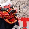 春に舞う