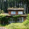 想い深し