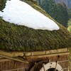 この雪が溶けたら