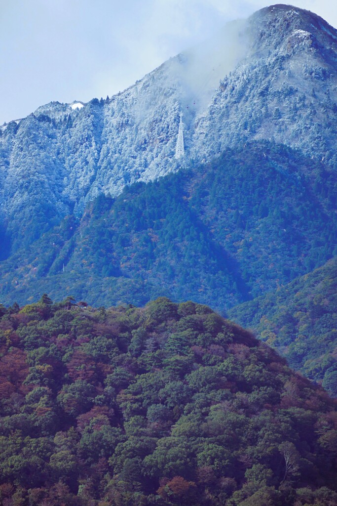 初冠雪