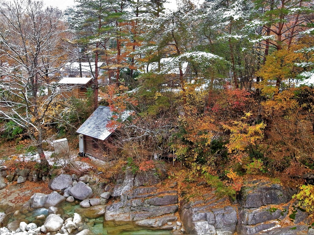 初雪