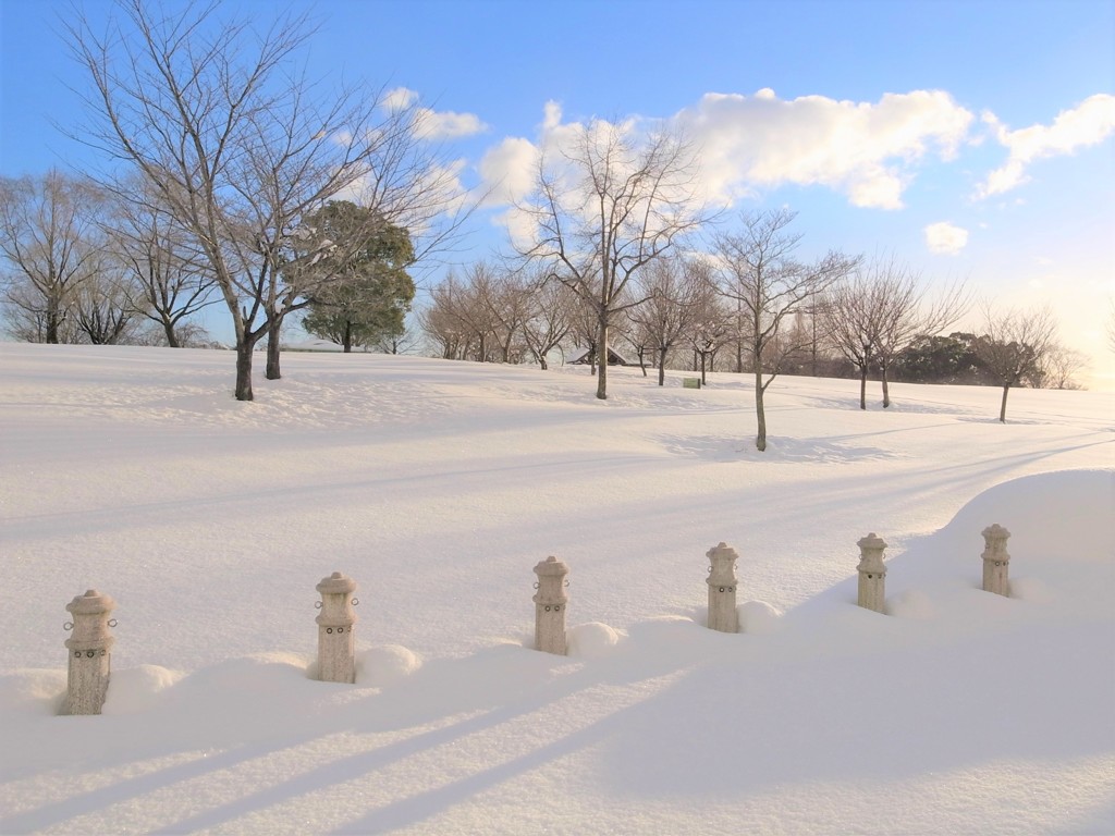 積雪30㎝