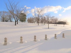 積雪30㎝