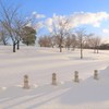 積雪30㎝