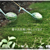 暑中見舞