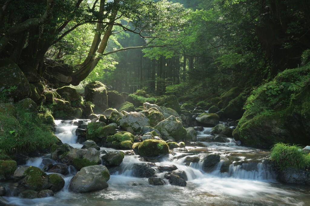 夏の渓