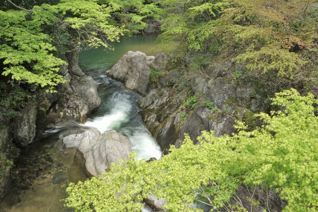 緑渓