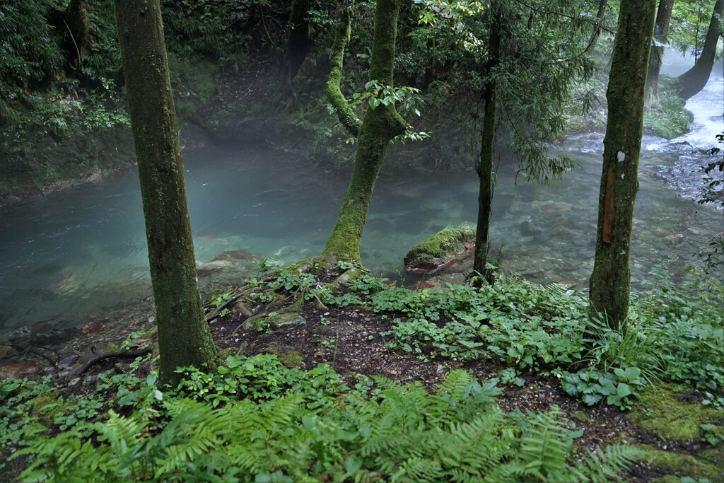 川霧