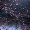 粒光