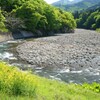 新緑の川