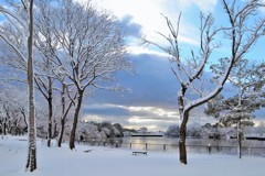 雪上がる