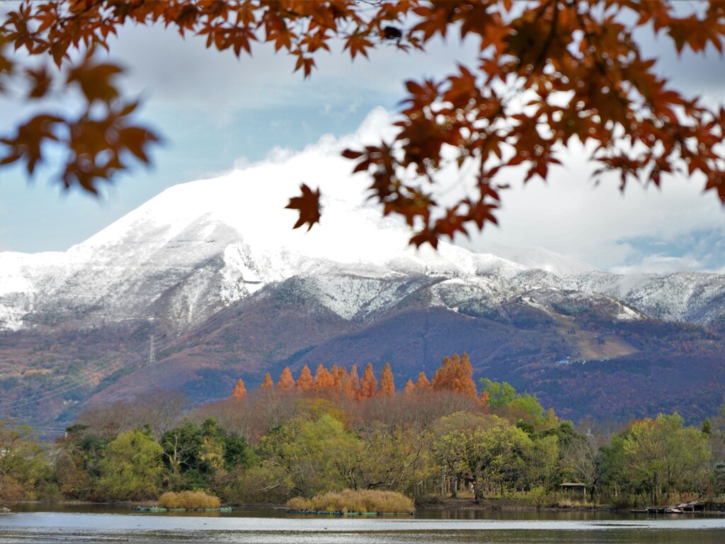 初冠雪