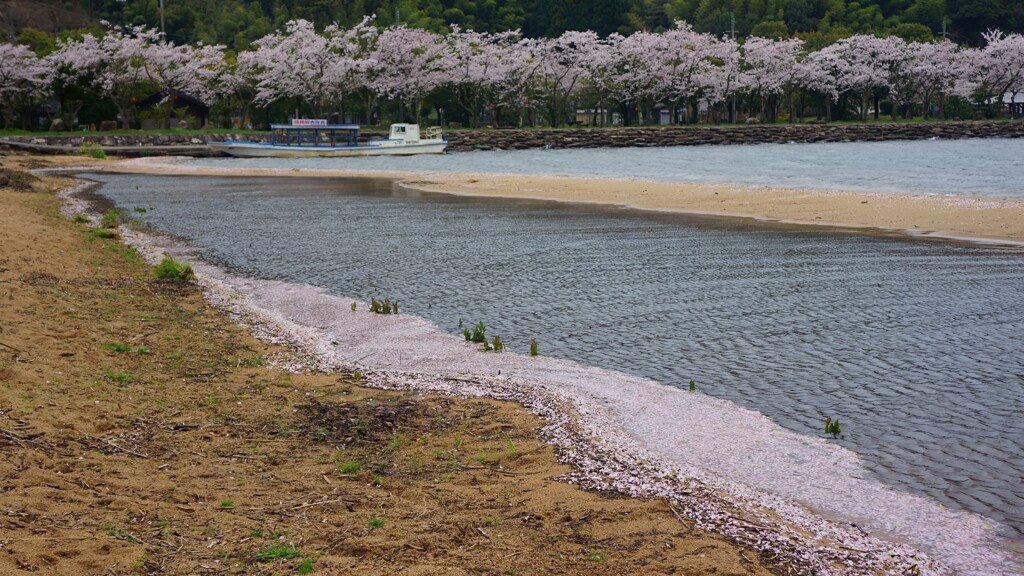 花見船終わりました