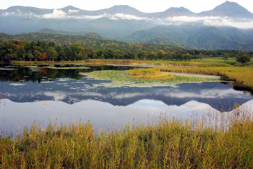 北海道 知床五湖