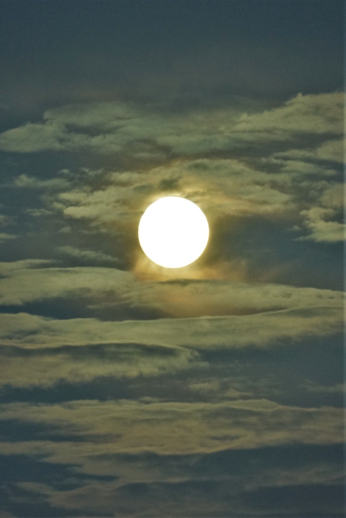 夕暮れの月