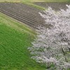 耕作始まる