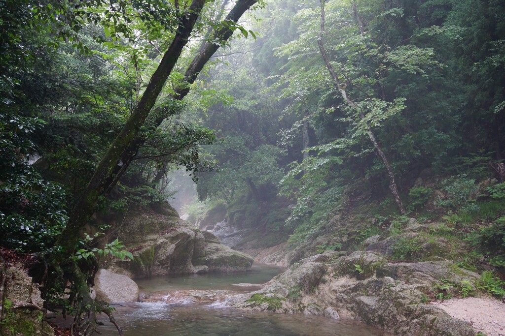 霧雨の渓谷