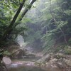 霧雨の渓谷