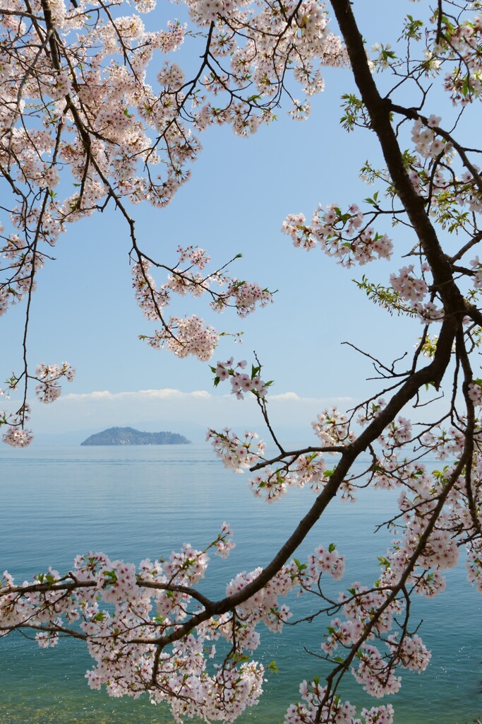 竹生島