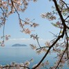 竹生島