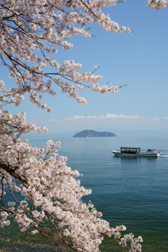 花めぐり