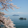 花めぐり