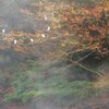 鷺の塒