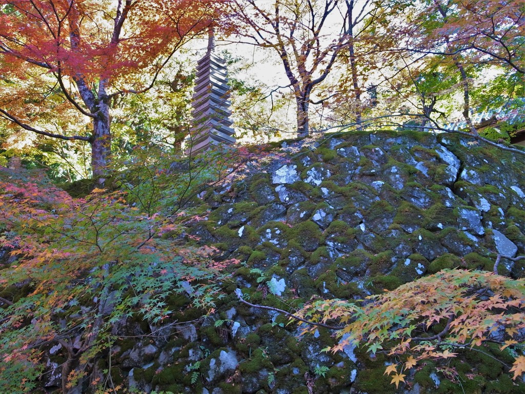紅葉・東光寺