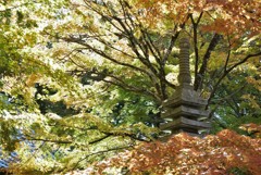 紅葉・東光寺