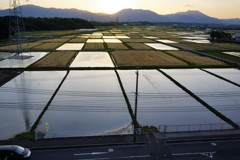 尊き田園