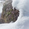 温もり