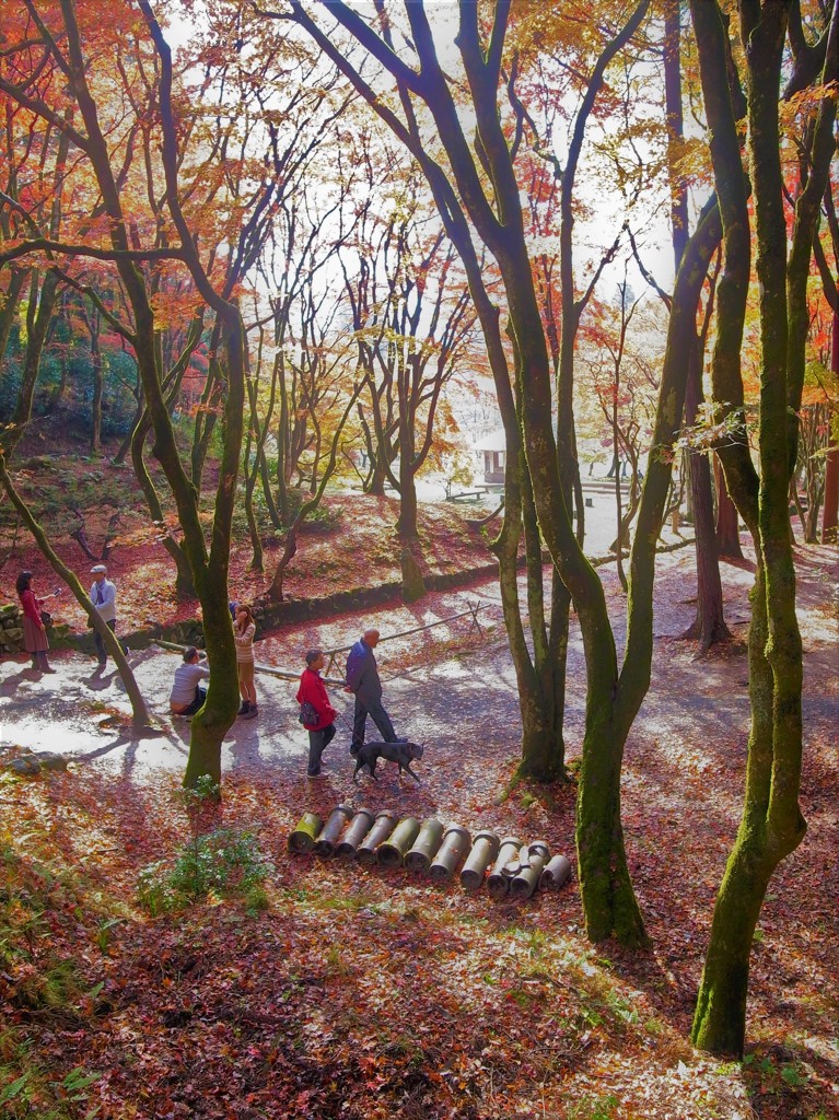 紅葉・鶏足寺