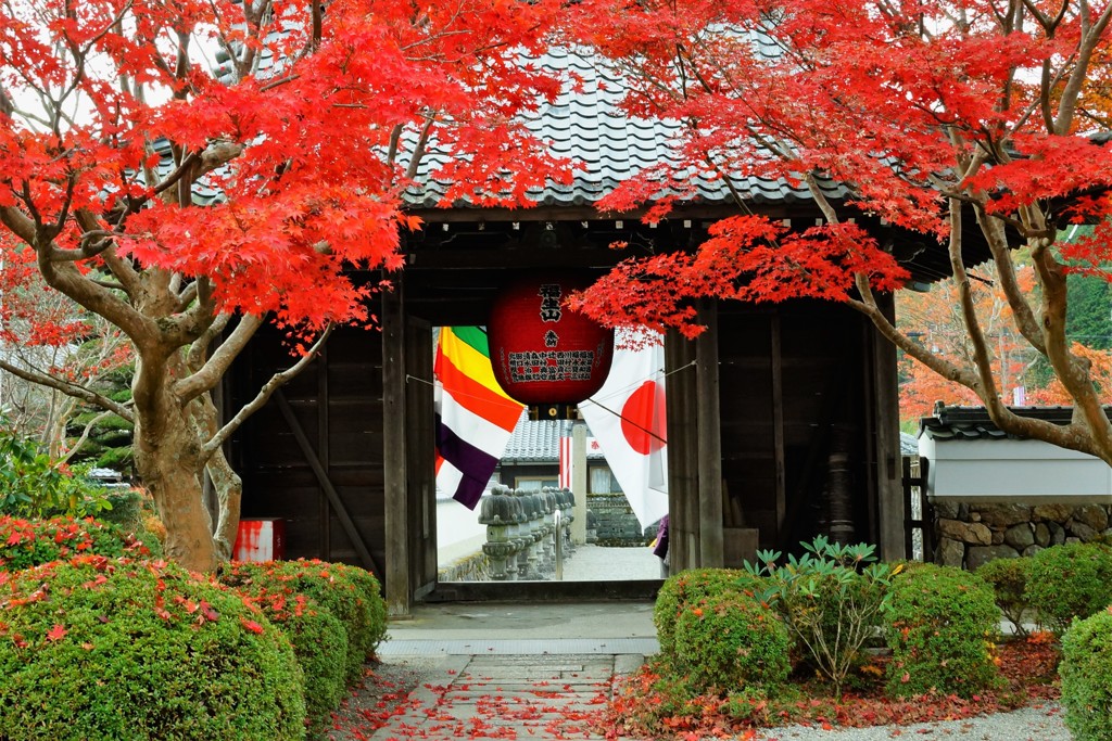 甲賀・櫟野寺