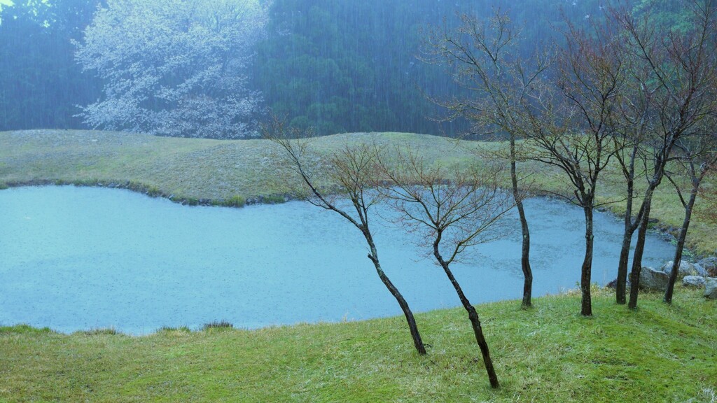 芽吹き