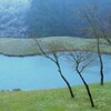 芽吹き