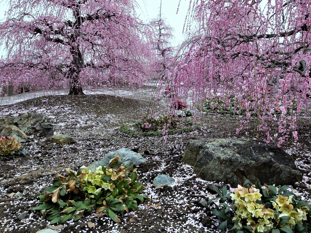 鈴鹿の森庭園