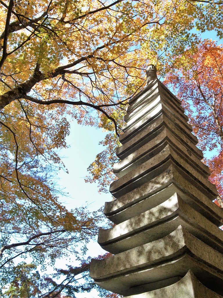 紅葉・東光寺