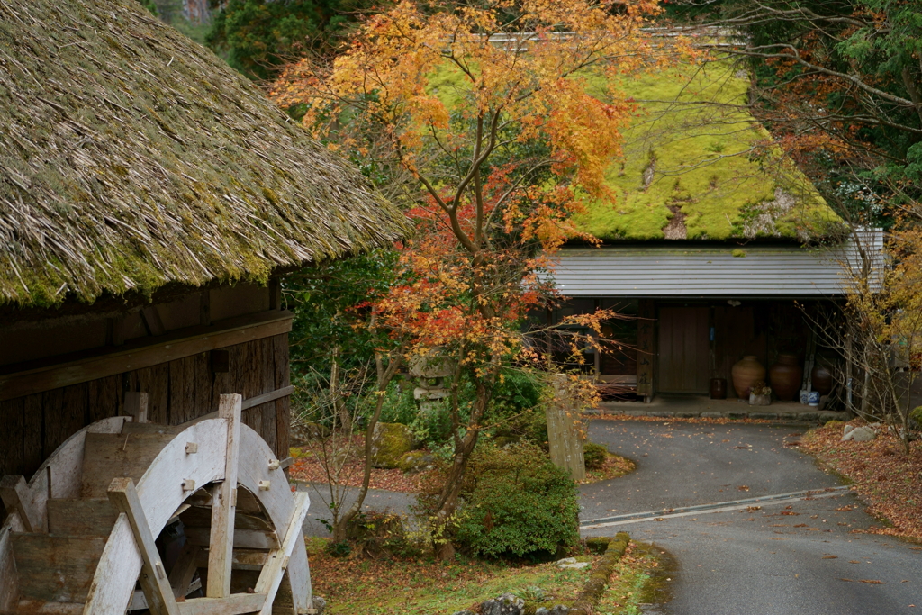 山荘