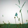 蜜は出ないよ