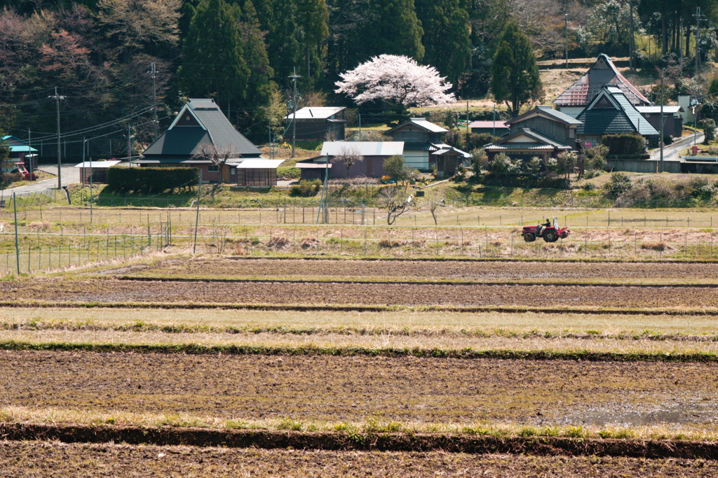 田起こし始まる