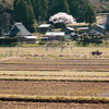田起こし始まる