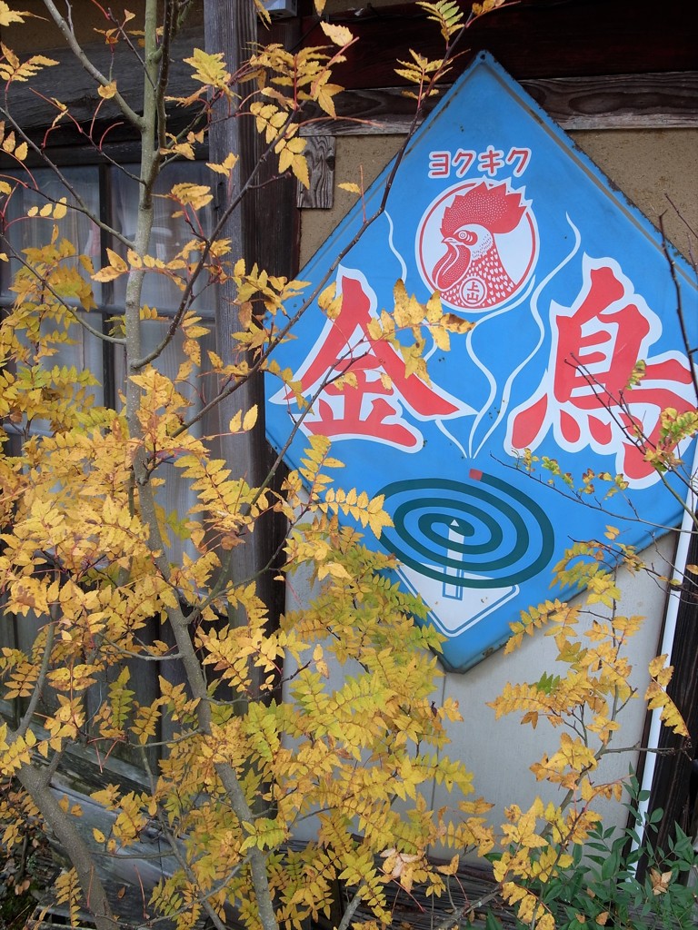 紅葉・鶏足寺