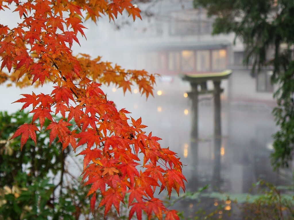 湖畔
