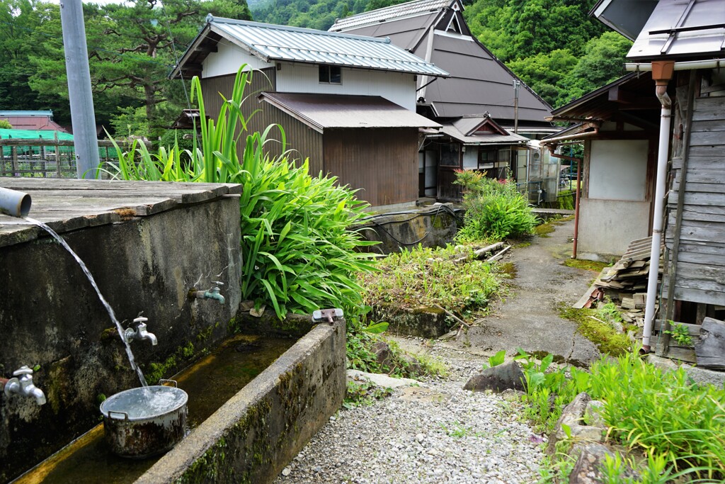 山里の夏