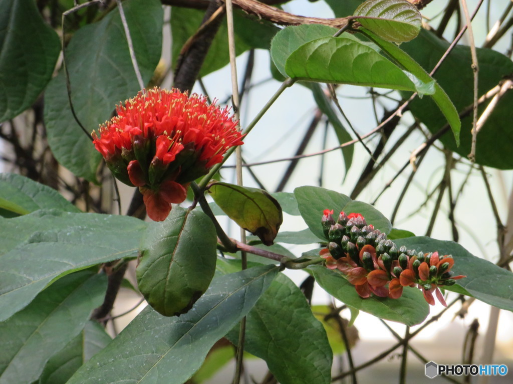 植物園１２