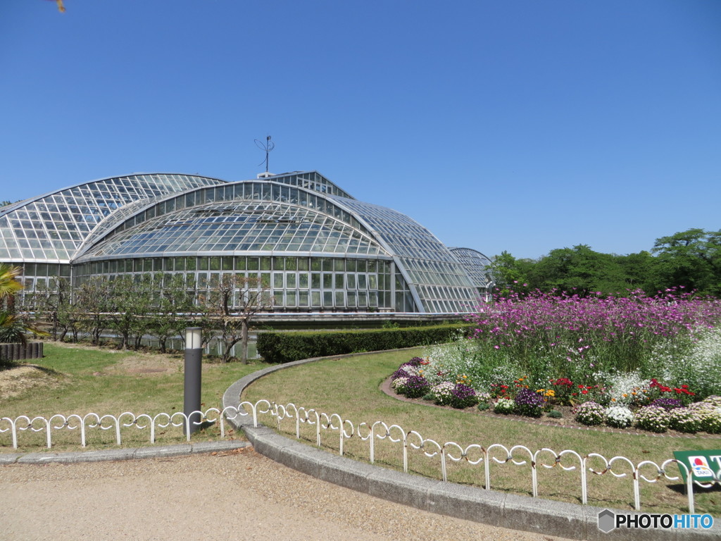 植物園７
