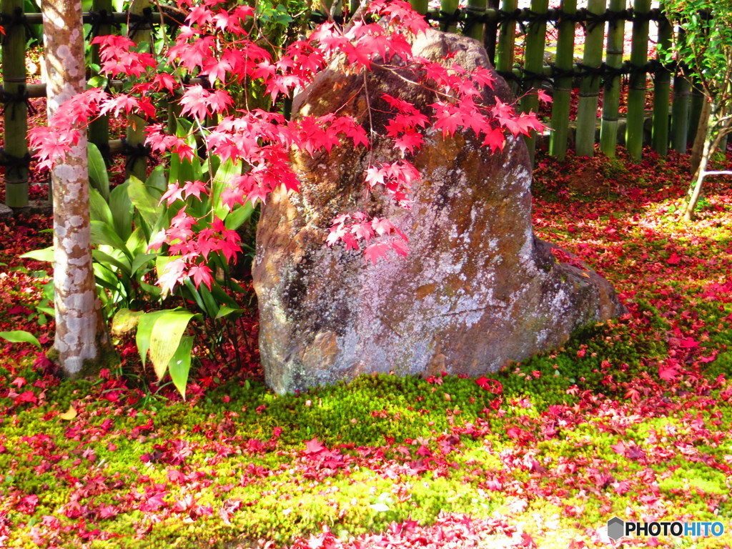 大法院１８